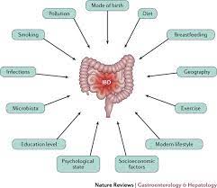 Environmental Triggers In Ibd A Review Of Progress And Evidence Nature Reviews Gastroenterology Hepatology