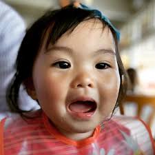 Little Haven Softplay