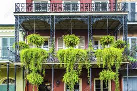Josiah was no longer living by then, but his two daughters, lola gibson and flora dawkins, were in residence. Old New Orleans Houses In French Quarter Stock Photo Picture And Royalty Free Image Image 22056263