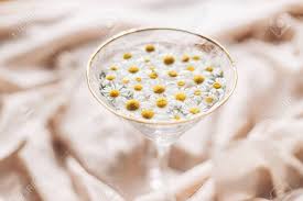 Buy aesthetic flowers in glass paint by numbers kit or check our new collections canvas paint by number for adult. Daisy Flowers In Water In Stylish Wine Glass On Background Of Soft Beige Fabric Tender Floral Aesthetic Creative Summer Image With Space For Text Bohemian Mood Stock Photo Picture And Royalty Free