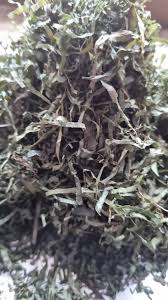 Image result for Gnetum africanum