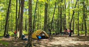 Maybe you would like to learn more about one of these? Weekend Camping Near Chattanooga Tennessee State Parks