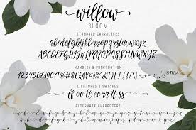 Willow Bloom Modern Calligraphy Font Calligraphy Fonts Modern Calligraphy Fonts Lettering