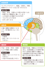 図解 発達障害とは もし 発達障害かも と思ったら 分類 原因 相談先 診断についてイラストでわかりやすく解説します litalico発達ナビ knowledge health fitness train
