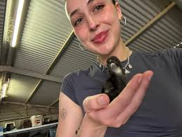 Fairview Lodge Animal Shelter