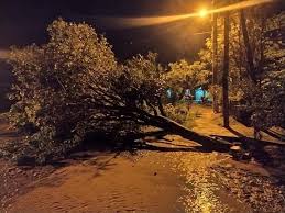 images?q=tbn:ANd9GcRdzAE32GySgZt_PR67u8DQv8hPtxWKzEf1oQ&s