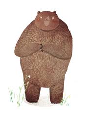 David Litchfield Illustration Bear Illustration Bear Art Illustration
