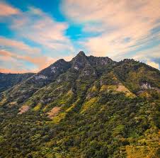 Resultado de imagen de rostro maya