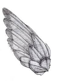 Big Black Bird With White Chest Wing Sketch Wings Drawing Wings Sketch Bird Tattoo Men