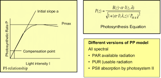 This plasmid is available through addgene. Pi Curve With Pp Parameters Alpha And Pmax And The Basic Equation For Download Scientific Diagram