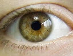 Green Eye Color Chart Eyes May Indicate A Strong And