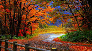Fall Wallpaper High Definition Scenery Wallpaper Landscape Wallpaper Desktop Wallpaper Fall