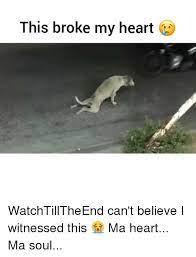 My Heart My Soul Meme Japanese The character is often used in image macros to express longing, heartache or sympathy for another person. my heart my soul meme japanese