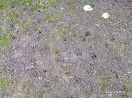 We did not find results for: The Garden Share Collection August 2013 Gourmet Wog