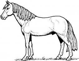 Dibujos De Caballos Para Imprimir Y Colorear Horse Coloring Horse Coloring Pages Coloring Pages