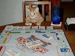 25 Funny Monopoly Pictures Memes Funnyfoto Crazy Cats Cats And Kittens I Love Cats