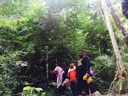 We did not find results for: Sg Chiling Outdoor Camping Waterfall Trekking Kuala Kubu Bharu Selangor Province Malaysia Outdoor Camping Kuala Kubu Bharu Waterfall