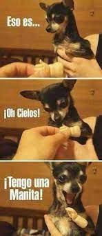 Pin By Violeta On Humor Whatsapp Cute Animals Cute Baby Animals Baby Animals