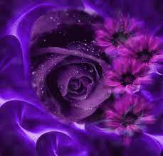 Purple Flowers Gif Purple Flowers Discover Share Gifs Purple Flowers Purple Roses Flowers Gif