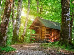 Biogradska gora (pronounced ) is a forest and a national park in montenegro within kolašin municipality. Biogradska Gora Must See Spots