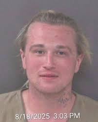 Larry Michael Hamilton, third, 29 of Zanesville was booked into the  Muskingum County Jail