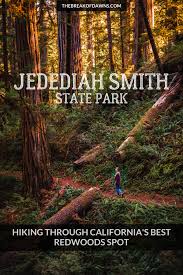 Jedediah Smith Redwoods State Park: Your Top Stop for the Redwoods - The  Break of Dawns