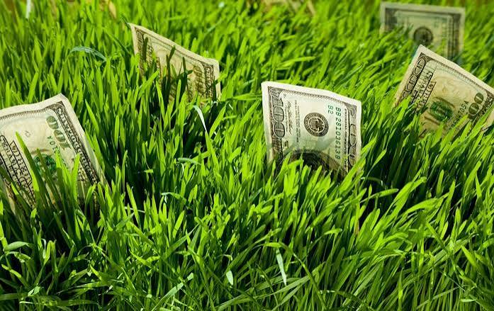 عوامل مؤثر بر قیمت زمین 