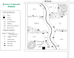 landowners guide eastern cottontail rabbits