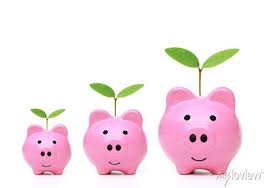 Lixeiras cor-de-rosa com tamanho pequeno, médio e grande com fotomural •  fotomurais germinação, interesse, leitão | myloview.com.br