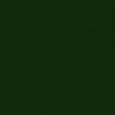 Image result for Dark Polo Green 2002 LeSabre