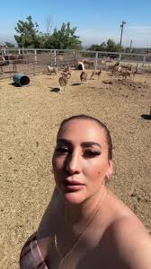 yucaipa #oakhouseranch #pettingzoo #countyvenue #@La Michoacana Yucai...