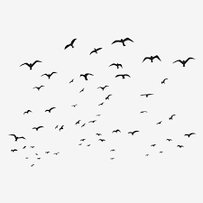 Abstract Birds Silhouette Flying Bird Isolated Black Flock White Nature Group Illustration Backgroun Flying Bird Silhouette Bird Silhouette Silhouette Painting