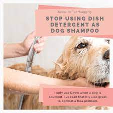 Stop Using Dish Detergent As Dog Shampoo Keep The Tail Wagging