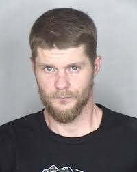 Magalia bear accessing 2nd story bird seed