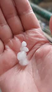 الدنيا بتشتي