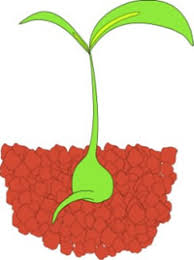'are you hungry?' the other replies: Funny Biology Jokes For Kids Dna Genetics Plant Flower