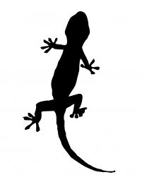 Black And White Leopard Gecko Clipart Gecko Silhouette Clipart Free Stock Photo Free Clip Art Clip Art Silhouette