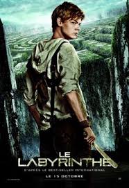 Photo 9 du film le labyrinthe sur 67 photos disponibles sur allociné. Le Labyrinthe Film Wiki L Epreuve Fandom