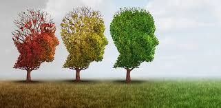 Dementia is a decline in mental abilities or cognitive functions such as memory, language, reasoning, planning, recognising, or identifying people or objects. Types Of Dementia The Kensington White Plains