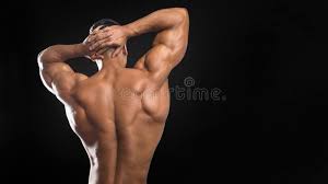 To make your torso longer, three muscle stretching techniques are frequently described in the literature: Muscular Back And Torso Of Young Man Perfect Back Muscles And Biceps Stock Image Image Of Hand Muscular 129633611