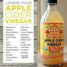 Bahkan ada sebuah cerita menyebutkan christopher coloumbus pernah membawa cuka apel dalam kemasan pada saat berlayar mengelilingi. Bragg Organic Raw Unfiltered Apple Cider Vinegar Cuka Apel 473 Ml Shopee Indonesia