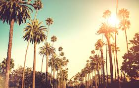 If los angeles is built on beautiful illusions (some might say lies), then call it a cosmic coincidence that the high point of its los angeles is a town where the automobile is king, but car repossessors rule. Los Angeles Campus Overview The American Academy Of Dramatic Arts