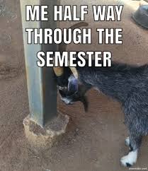 Fr Doe Hilarious Memes Novelty Sign