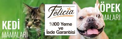 En Iyi Kedi Mamasi 2020 En Iyi Kedi Mamasi Markalari