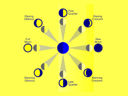 What Are The 8 Major Phases Of The Moon Earth How