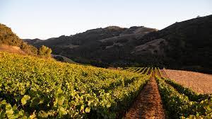 Maybe you would like to learn more about one of these? San Luis Obispo Solidifying An Identity Apr 2020 Vinous Explore All Things Wine