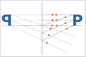 Reflection Of Light Notes | Science Olympiad Class 6