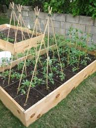 A Word About The Square Foot Gardening Technique Square Foot Gardening Gardening Techniques Garden Trellis