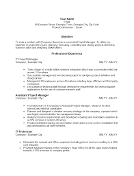 it project manager resume template
