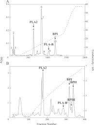 Maybe you would like to learn more about one of these? Interisland Variegation Of Venom Lys49 Phospholipase A2 Isozyme Genes In Protobothrops Genus Snakes In The Southwestern Islands Of Japan Sciencedirect